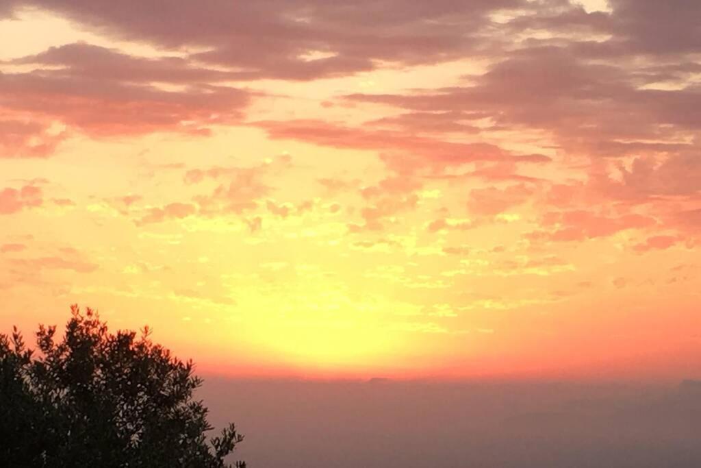Casa Pierina Daire Anacapri  Dış mekan fotoğraf